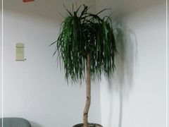 -富侨养生(康乾店)