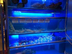 -協成海鮮火鍋(老店)