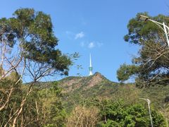 -梧桐山风景名胜区