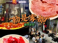 -大虎重庆老火锅(正弘城店)