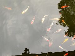 -常德桃花源景区