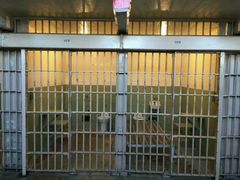 监狱-阿尔卡特拉斯岛