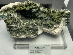 -湖南省地质博物馆