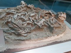 -大同煤炭博物馆