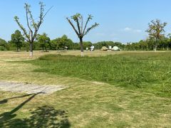 -苏州太湖国家湿地公园