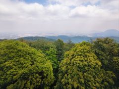 -东莞市大岭山森林公园