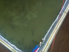 -会江钓鱼钓虾烧烤场