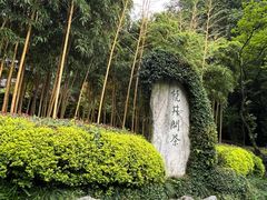 -十八棵（老龙井）御茶园(老龙井店)