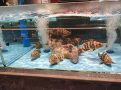 -阿伟海鲜楼·福建菜(延寿店)