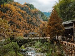 -林坑古村落