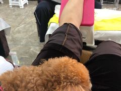 -郑远元专业修脚房·按摩·肉刺·灰指甲(天润城八街区店)