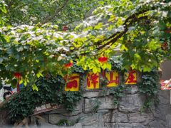 -丽泽山庄·生态怀柔菜·虹鳟鱼(红螺寺店)