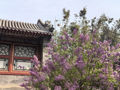 -保定直隶总督署博物馆