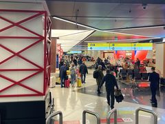 -谢列梅捷沃国际机场