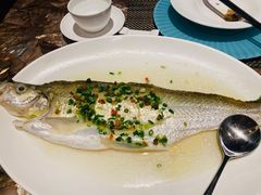 清蒸白水鱼-阳澄湖费尔蒙酒店颐丰阁中餐厅(马鞍山西路店)