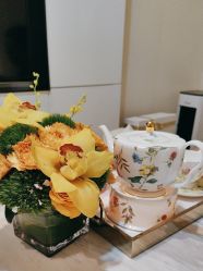 -奥斯芬欧系贵族SPA