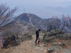 -阳台山自然风景区