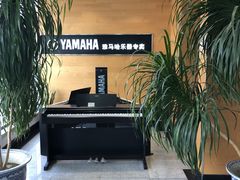 -海音琴行雅马哈钢琴·海伦·施特劳斯(金沙店)