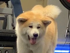 -YCHL Studios健身工作室(市二宫店)