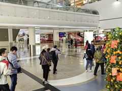-厦门高崎国际机场-T3航站楼