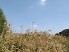 -水洞沟旅游区