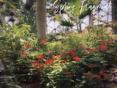 -上海辰山植物园