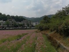 -红山村