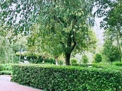 -白鹭湾湿地公园