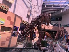 -陕西自然博物馆