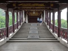 -长广溪湿地公园