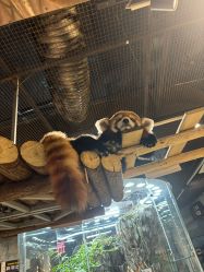 -Zoolung Zoolung动物主题公园(海信广场店)