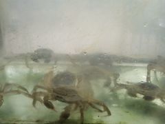 -巽东海鲜大排档(巽寮湾店)