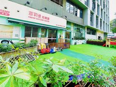 -菲司迪托育园(蛇口店)
