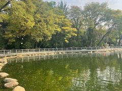 -莲湖公园