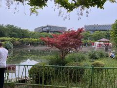 -嘉定紫藤园
