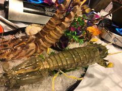 霸王皮皮虾-鲜入围煮花胶鸡海鲜火锅