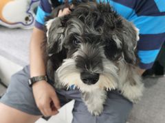 -纳吉亚猫专科动物诊疗中心(蒋宅口分院)