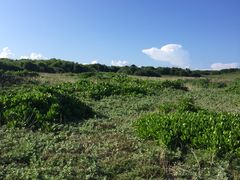 -龙坑生态保护区