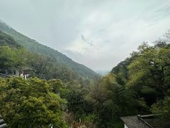 -韬光茶庵