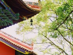 -南岳衡山风景名胜区