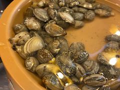 -龍歌自助小火锅(李沧丽达店)