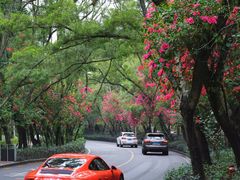 -深圳国际园林花卉博览园