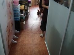 -蜜肆动物奶油蛋糕·个性定制·下午茶甜品