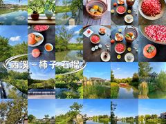 -西溪国家湿地公园