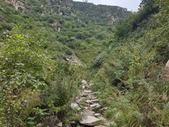 -灵山