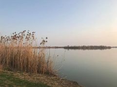 -巢湖姥山岛