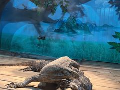 -石家庄市动物园