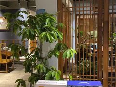 -小湾茶楼