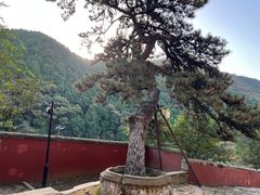 -潭柘寺景区