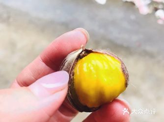 #暖暖家#如何做出不上火又好吃的栗子